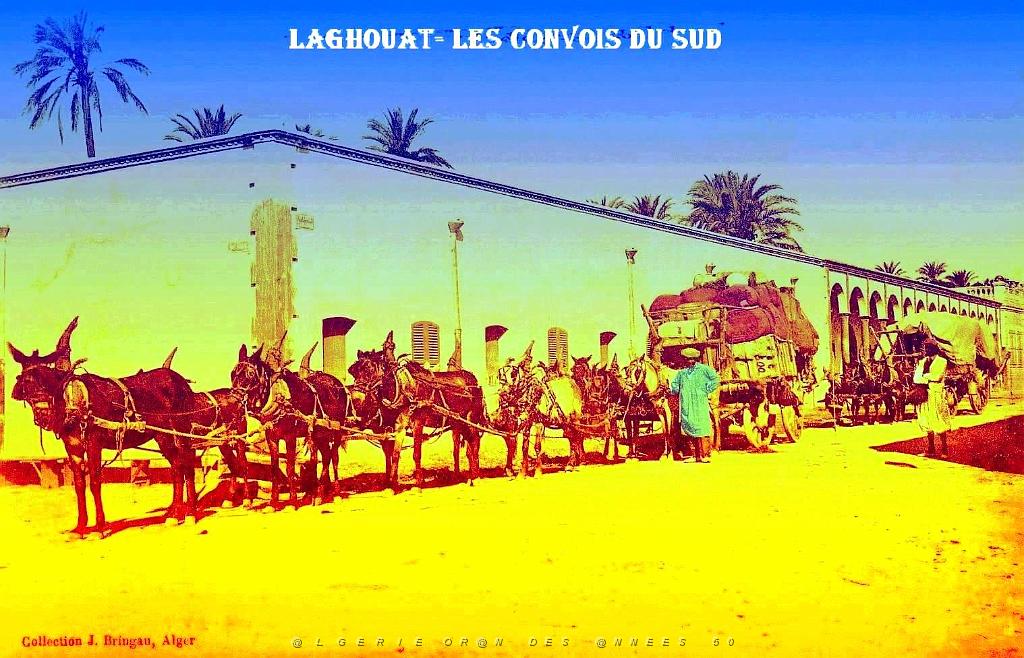 Laghouat - Convois du sud.jpg